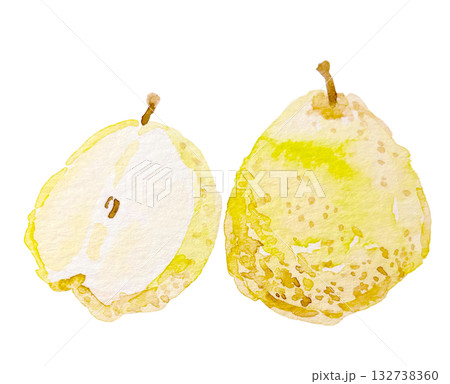 水彩で描いた洋梨 132738360