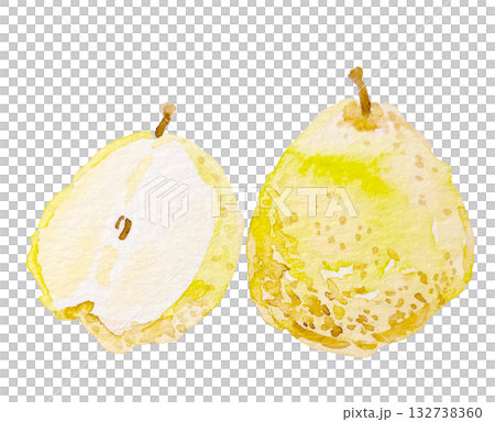 水彩で描いた洋梨 132738360