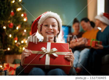 family celebrating Christmas 132738405