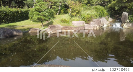稲毛海浜公園の浜の池にミドリガメ 132738492
