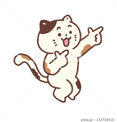 それな！ポーズの明るくかわいい猫 132738518