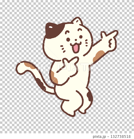 それな！ポーズの明るくかわいい猫 132738518