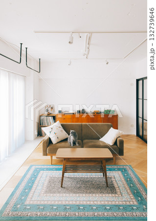 猫のいる部屋 猫のいる部屋 132739646