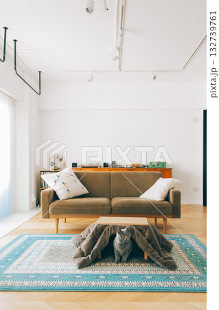 猫用のコタツに入る猫 猫用のコタツに入る猫 132739761