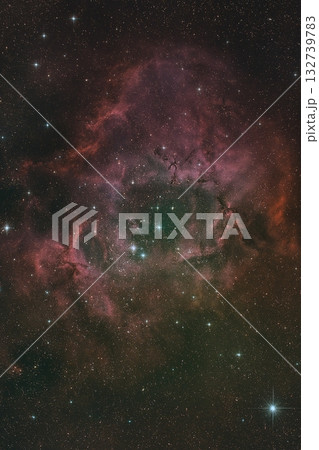 薔薇星雲 132739783