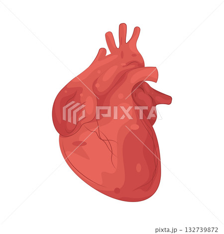 Illustration of human heart Illustration of human heart 132739872