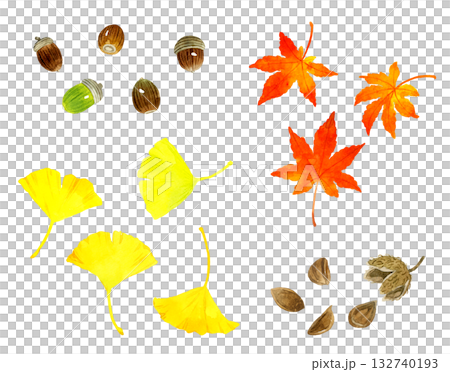 どんぐり・もみじ・イチョウ・ブナのセット 秋の植物の手描き水彩イラスト素材 どんぐり・もみじ・イチョウ・ブナのセット 秋の植物の手描き水彩イラスト素材 132740193