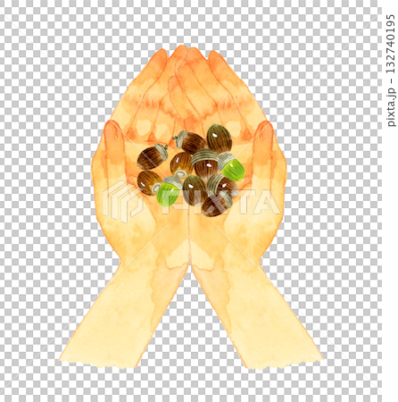 手のひらに集めたどんぐり　秋の植物の手描き水彩イラスト素材 132740195