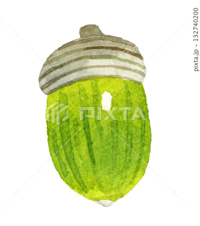 帽子付きの緑色のどんぐり（単品）　秋の植物の手描き水彩イラスト素材 132740200