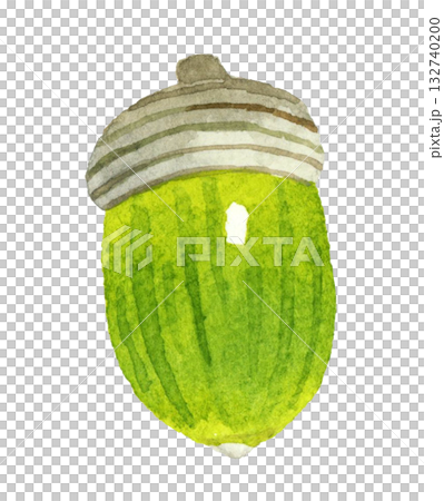 帽子付きの緑色のどんぐり（単品）　秋の植物の手描き水彩イラスト素材 132740200