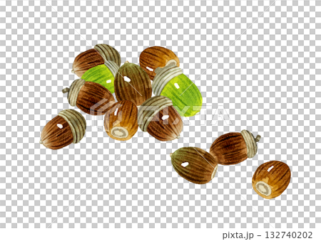 Acorn set - Hand-drawn watercolor illustration of autumn plants Acorn set - Hand-drawn watercolor illustration of autumn plants 132740202