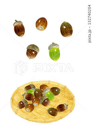 どんぐりのセット 秋の植物の手描き水彩イラスト素材 どんぐりのセット 秋の植物の手描き水彩イラスト素材 132740204
