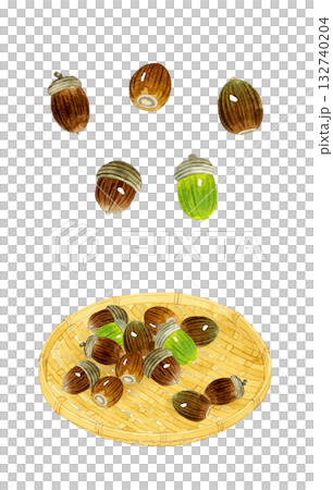 どんぐりのセット 秋の植物の手描き水彩イラスト素材 どんぐりのセット 秋の植物の手描き水彩イラスト素材 132740204