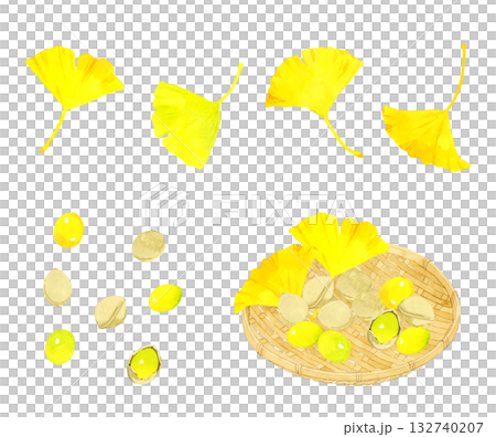 ギンナンの実とイチョウの葉っぱのセット　秋の植物の手描き水彩イラスト素材 132740207