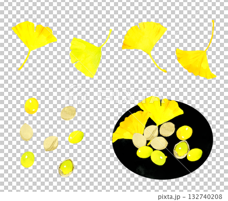 Set of ginkgo nuts and ginkgo leaves. Hand-drawn watercolor illustration of autumn plants. 132740208