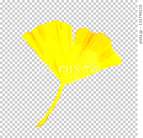 黄葉したイチョウの葉 秋の植物の手描き水彩イラスト素材 黄葉したイチョウの葉 秋の植物の手描き水彩イラスト素材 132740210