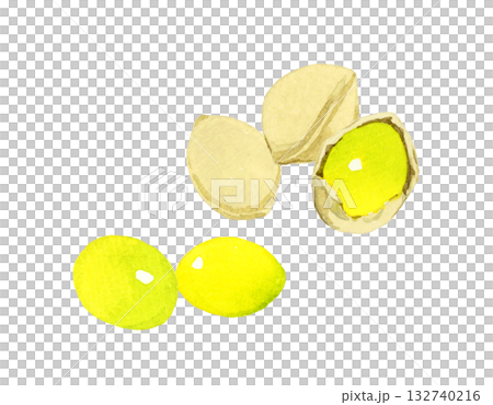 Ginkgo fruit set - Hand-drawn watercolor illustrations of autumn plants 132740216