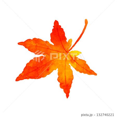 紅葉したもみじの葉 秋の植物の手描き水彩イラスト素材 紅葉したもみじの葉 秋の植物の手描き水彩イラスト素材 132740221