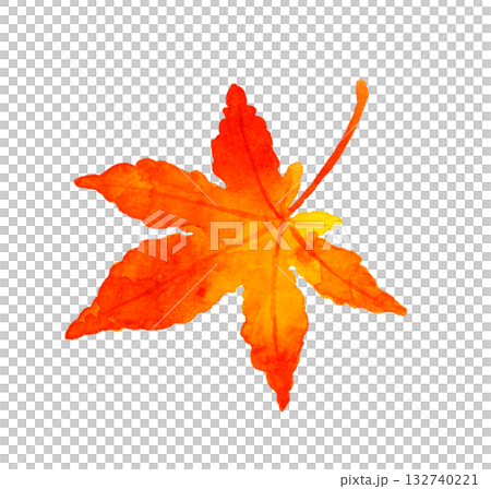 紅葉したもみじの葉 秋の植物の手描き水彩イラスト素材 紅葉したもみじの葉 秋の植物の手描き水彩イラスト素材 132740221
