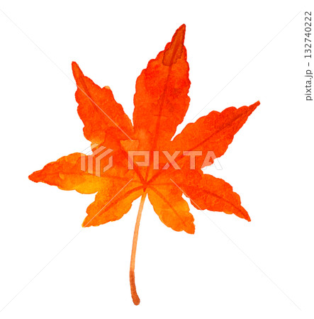 紅葉したもみじの葉　秋の植物の手描き水彩イラスト素材 132740222