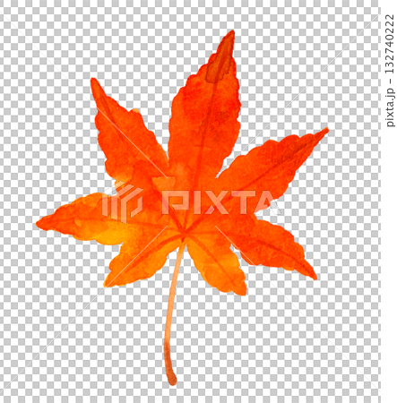 紅葉したもみじの葉　秋の植物の手描き水彩イラスト素材 132740222
