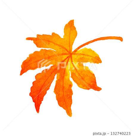 紅葉したもみじの葉　秋の植物の手描き水彩イラスト素材 132740223