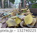 橋に落ちた枯れ葉 132740225