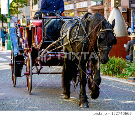 横浜市関内 文化の日 馬車道まつり 馬車道商店街 イギリス製馬車の試乗会 横浜市関内 文化の日 馬車道まつり 馬車道商店街 イギリス製馬車の試乗会 132740669