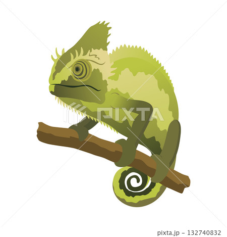 Chameleon lizard. Reptiles with curved tail and camouflage skin, tropical wildlife. Vector exotic animal illustration 132740832