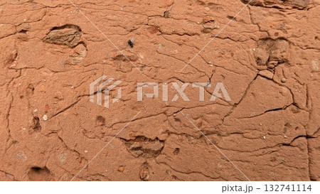 Textured Brown Surface Featuring Cracks and Insights into the Natural Landscape Around Us Textured Brown Surface Featuring Cracks and Insights into the Natural Landscape Around Us 132741114