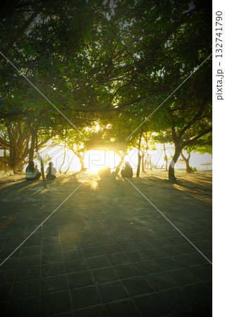 木漏れ日を浴びながらチルタイムを過ごす 木漏れ日を浴びながらチルタイムを過ごす 132741790