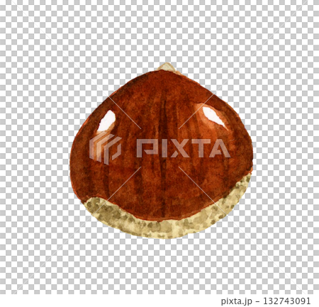 栗子（單件）秋季植物手繪水彩插畫素材 132743091