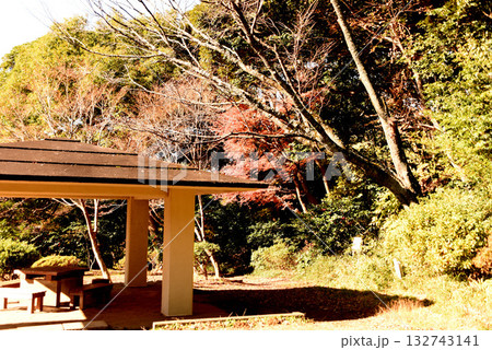 源氏山公園 源氏山公園 132743141