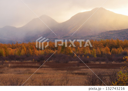 小田代原の金屏風 132743216