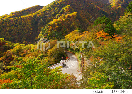 いろは坂の紅葉 132743462