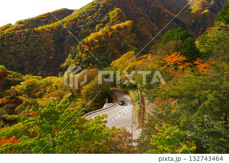 いろは坂の紅葉 132743464