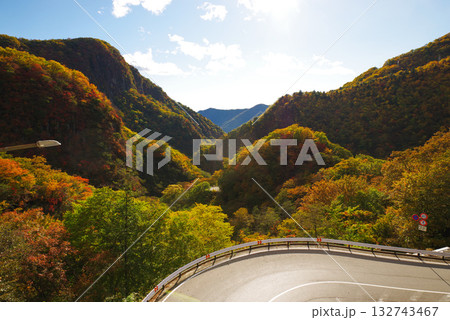 いろは坂の紅葉 いろは坂の紅葉 132743467