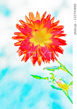 家の周りの草花　四季の色々　秋風にそよぐ赤やピンクの花がダリア園の花畑を彩どっています 132743660