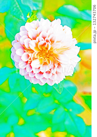 家の周りの草花 四季の色々 秋風にそよぐ赤やピンクの花がダリア園の花畑を彩どっています 家の周りの草花 四季の色々 秋風にそよぐ赤やピンクの花がダリア園の花畑を彩どっています 132743706