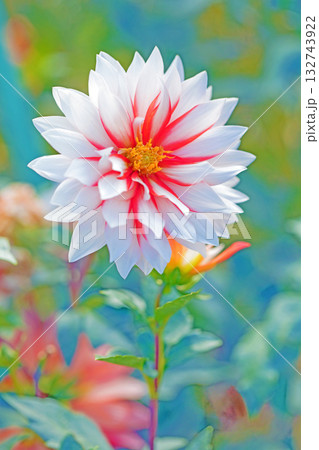 家の周りの草花 四季の色々 秋風にそよぐ赤やピンクの花がダリア園の花畑を彩どっています 家の周りの草花 四季の色々 秋風にそよぐ赤やピンクの花がダリア園の花畑を彩どっています 132743922