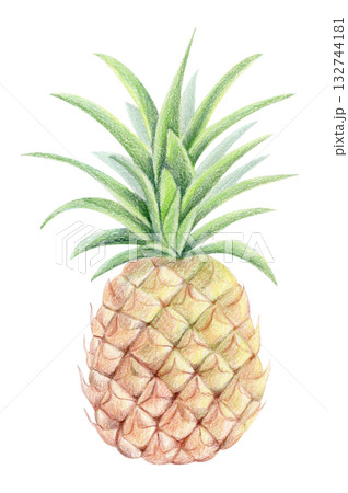 Colored pencil and watercolor pineapple, tropical fruit illustration 132744181
