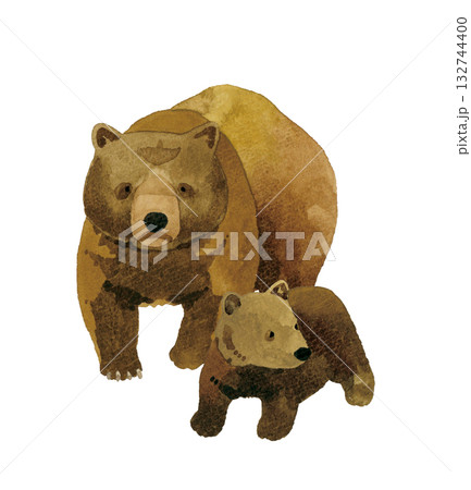 歩くヒグマの親子（セット）　手描き水彩イラスト素材 132744400