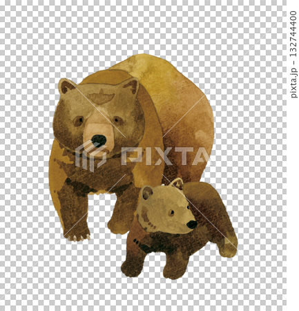 歩くヒグマの親子（セット）　手描き水彩イラスト素材 132744400