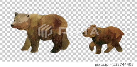 Walking brown bear parent and child (set) Hand-drawn watercolor illustration 132744403