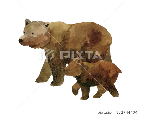 歩くヒグマの親子（セット）　手描き水彩イラスト素材 132744404