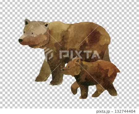 歩くヒグマの親子（セット）　手描き水彩イラスト素材 132744404