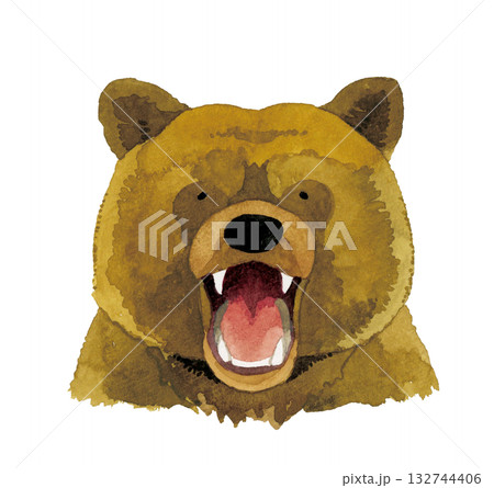 口を開ける・威嚇するヒグマ（熊）　手描き水彩イラスト素材 132744406