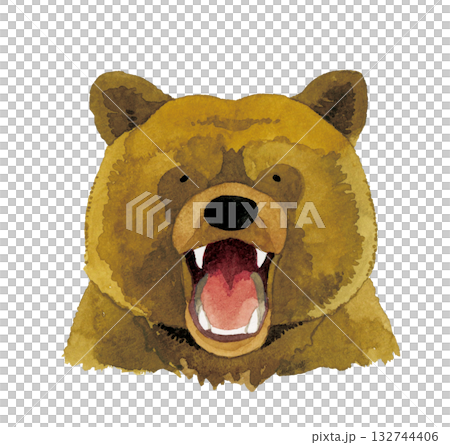 口を開ける・威嚇するヒグマ（熊）　手描き水彩イラスト素材 132744406