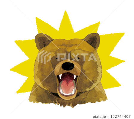 口を開ける・威嚇するヒグマ（熊）　手描き水彩イラスト素材 132744407
