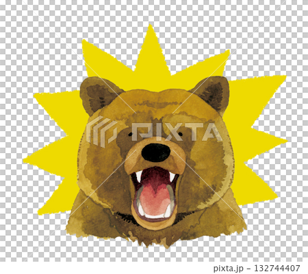 口を開ける・威嚇するヒグマ（熊）　手描き水彩イラスト素材 132744407